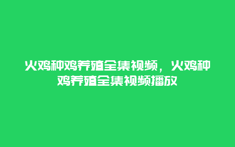 火鸡种鸡养殖全集视频，火鸡种鸡养殖全集视频播放