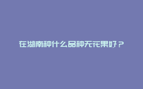 在湖南种什么品种无花果好？