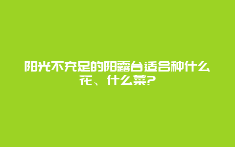 阳光不充足的阳露台适合种什么花、什么菜?