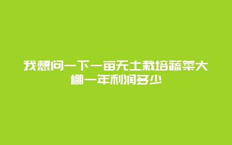 我想问一下一亩无土栽培蔬菜大棚一年利润多少