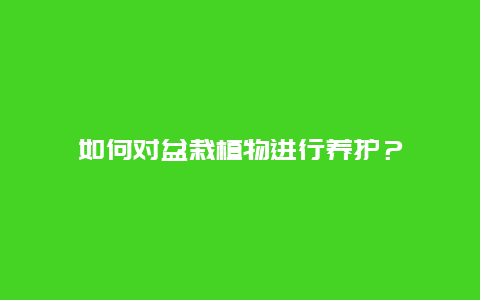 如何对盆栽植物进行养护？