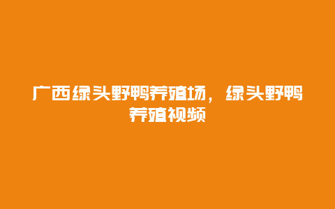 广西绿头野鸭养殖场，绿头野鸭养殖视频