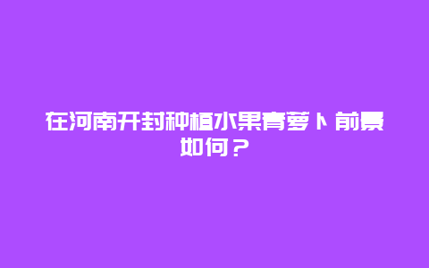 在河南开封种植水果青萝卜前景如何？