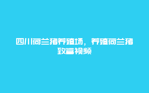 四川荷兰猪养殖场，养殖荷兰猪致富视频