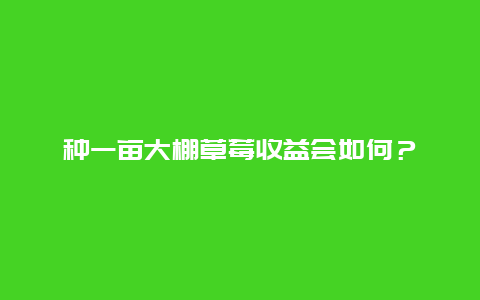 种一亩大棚草莓收益会如何？