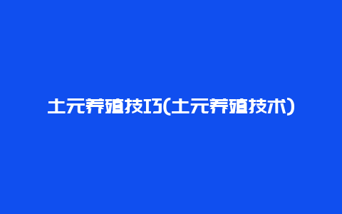 土元养殖技巧(土元养殖技术)