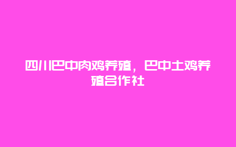 四川巴中肉鸡养殖，巴中土鸡养殖合作社