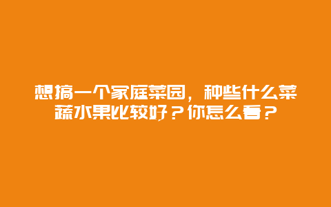 想搞一个家庭菜园，种些什么菜蔬水果比较好？你怎么看？