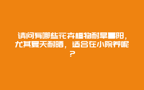 请问有哪些花卉植物耐旱喜阳，尤其夏天耐晒，适合在小院养呢？