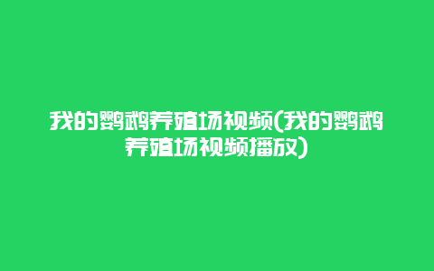 我的鹦鹉养殖场视频(我的鹦鹉养殖场视频播放)