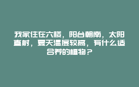 我家住在六楼，阳台朝南，太阳直射，夏天温度较高，有什么适合养的植物？