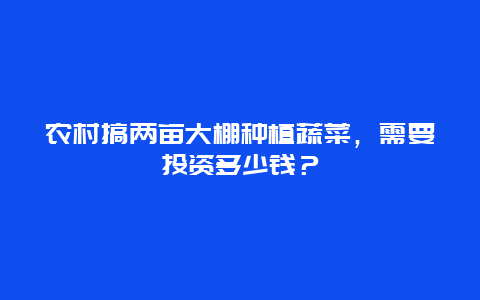 农村搞两亩大棚种植蔬菜，需要投资多少钱？