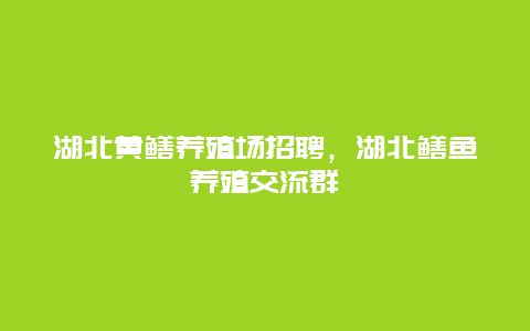 湖北黄鳝养殖场招聘，湖北鳝鱼养殖交流群