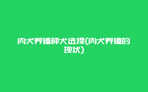 肉犬养殖种犬选择(肉犬养殖的现状)