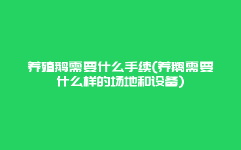 养殖鹅需要什么手续(养鹅需要什么样的场地和设备)