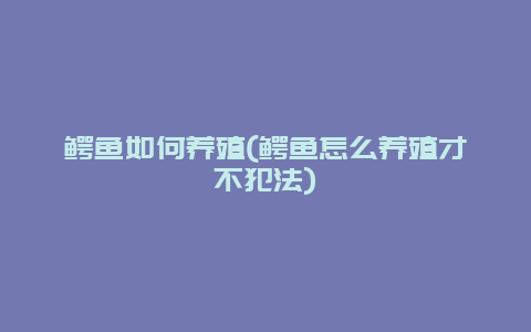 鳄鱼如何养殖(鳄鱼怎么养殖才不犯法)