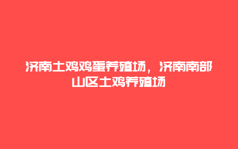 济南土鸡鸡蛋养殖场，济南南部山区土鸡养殖场