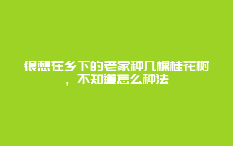 很想在乡下的老家种几棵桂花树，不知道怎么种法