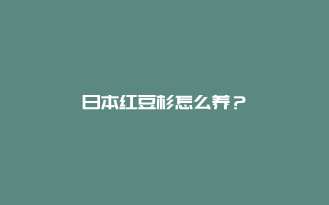 日本红豆杉怎么养？