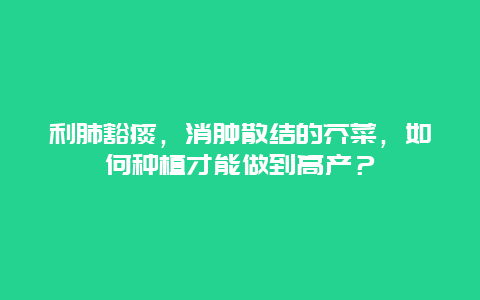 利肺豁痰，消肿散结的芥菜，如何种植才能做到高产？