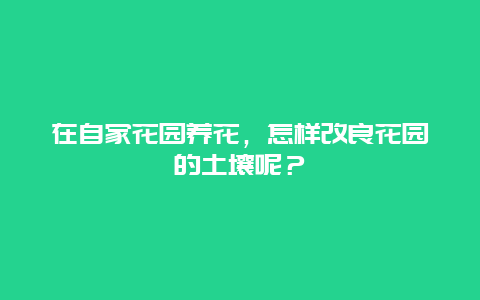 在自家花园养花，怎样改良花园的土壤呢？