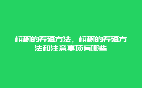 榕树的养殖方法，榕树的养殖方法和注意事项有哪些