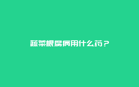 蔬菜根腐病用什么药？