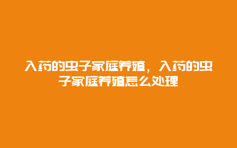 入药的虫子家庭养殖，入药的虫子家庭养殖怎么处理