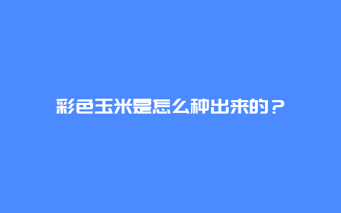 彩色玉米是怎么种出来的？