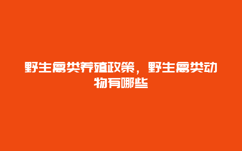 野生禽类养殖政策，野生禽类动物有哪些