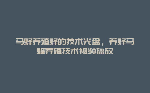 马蜂养殖蜂的技术光盘，养蜂马蜂养殖技术视频播放