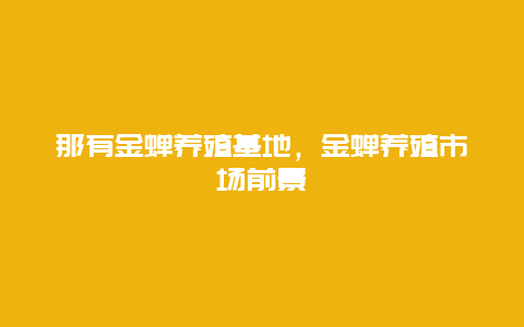 那有金蝉养殖基地，金蝉养殖市场前景