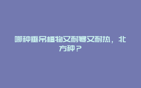 哪种垂吊植物又耐寒又耐热，北方种？