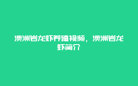 澳洲岩龙虾养殖视频，澳洲岩龙虾简介