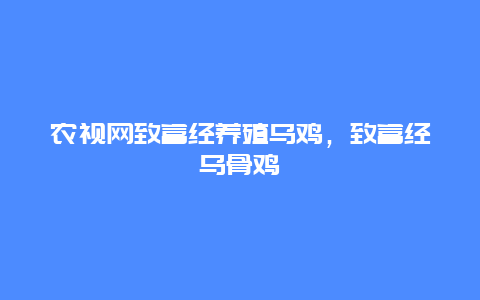 农视网致富经养殖乌鸡，致富经乌骨鸡