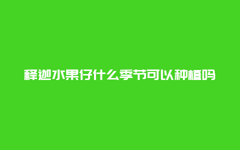 释迦水果仔什么季节可以种植吗