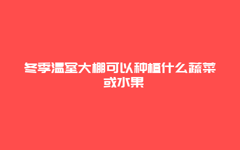 冬季温室大棚可以种植什么蔬菜 或水果