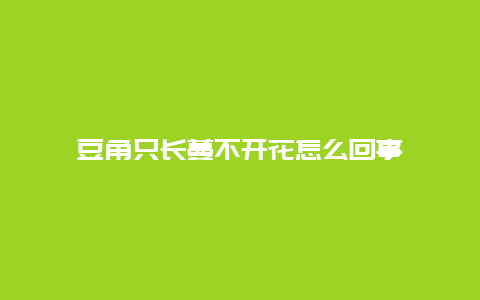 豆角只长蔓不开花怎么回事