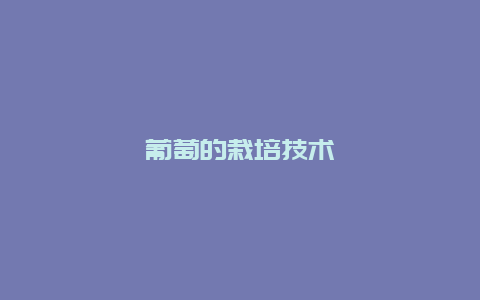 葡萄的栽培技术