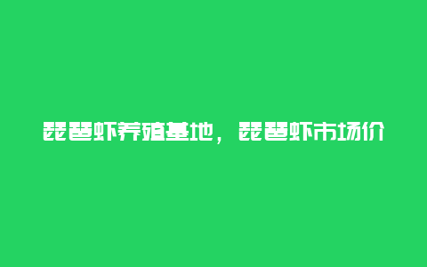 琵琶虾养殖基地，琵琶虾市场价