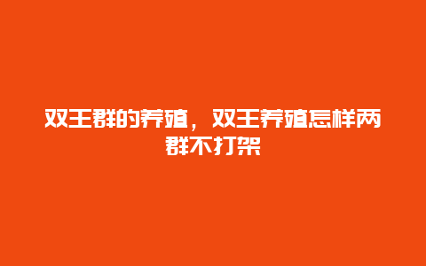 双王群的养殖，双王养殖怎样两群不打架