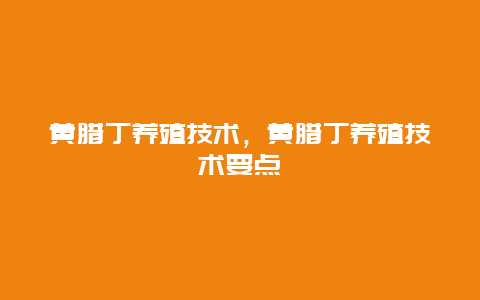 黄腊丁养殖技术，黄腊丁养殖技术要点