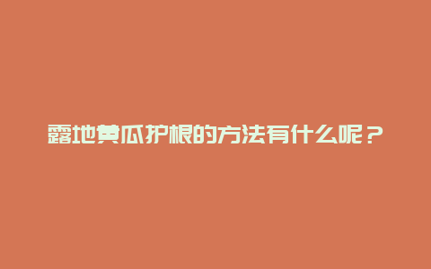 露地黄瓜护根的方法有什么呢？