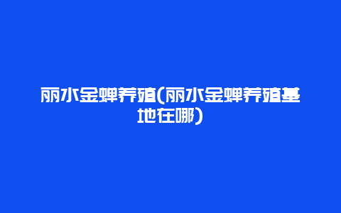 丽水金蝉养殖(丽水金蝉养殖基地在哪)