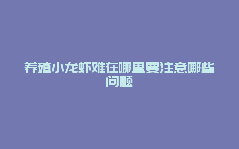 养殖小龙虾难在哪里要注意哪些问题