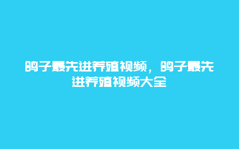 鸽子最先进养殖视频，鸽子最先进养殖视频大全