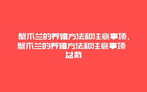 蟹爪兰的养殖方法和注意事项，蟹爪兰的养殖方法和注意事项 盆栽