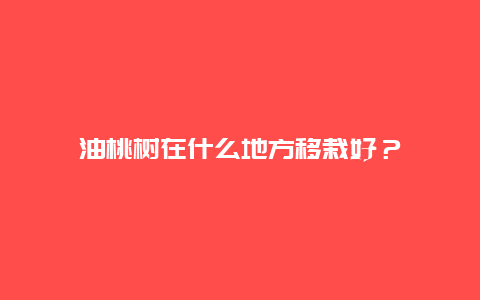 油桃树在什么地方移栽好？