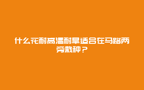 什么花耐高温耐旱适合在马路两旁栽种？