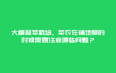 大棚蔬菜栽培，菜农在铺地膜的时候需要注意哪些问题？